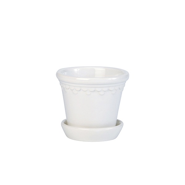 BP ���ڥ�ϡ�����12 �ۥ磻��GL (���å�:6)