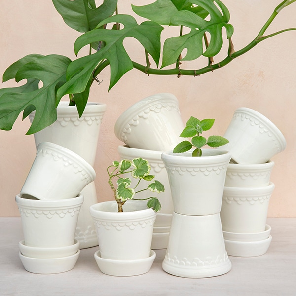 BP ���ڥ�ϡ�����12 �ۥ磻��GL (���å�:6)