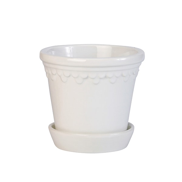 BP ���ڥ�ϡ�����21 �ۥ磻��GL (���å�:4)