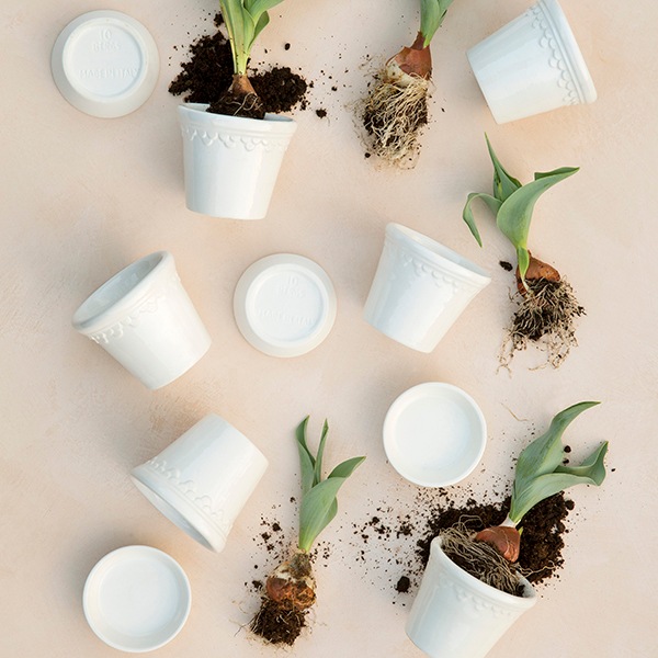 BP ���ڥ�ϡ�����21 �ۥ磻��GL (���å�:4)