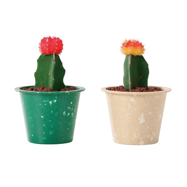 ���顼�إåɥ��ܥƥ� �������åץޡ��֥�ݥå�9C�ʥ��å�:18��