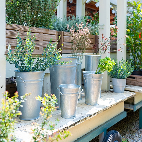 KOVOTVAR �ץ�󥿡��ݥå�L ���󥯡ʥ��åȡ�2��