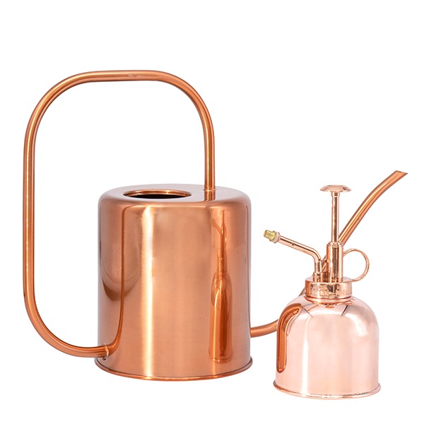 ���ƥ�쥹���ץ졼 ���åѡ��ʥ��åȡ�2��