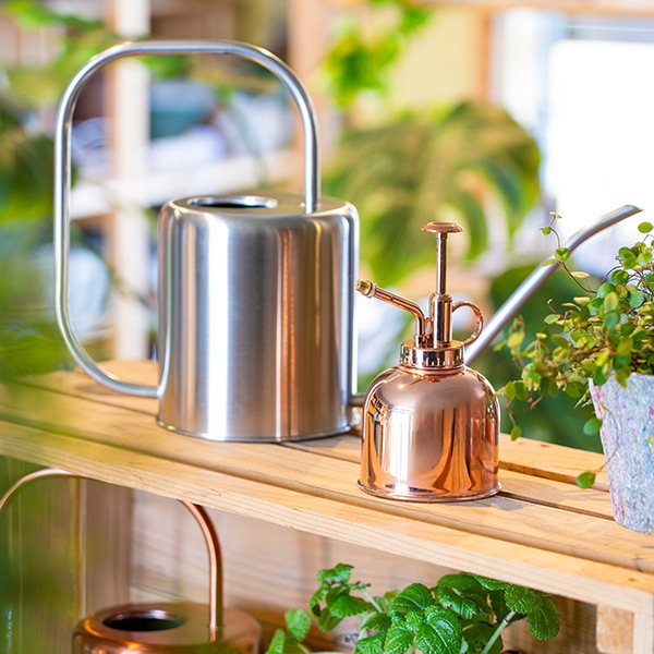 ���ƥ�쥹���ץ졼 ���åѡ��ʥ��åȡ�2��