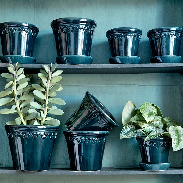 BP ���ڥ�ϡ�����16 �֥롼GL(���å�:2)