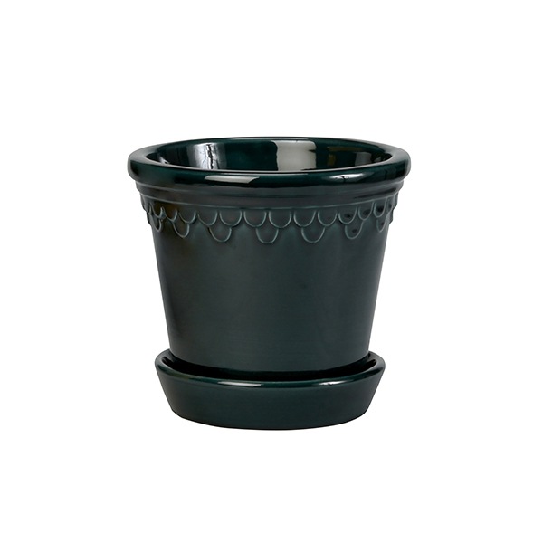 BP ���ڥ�ϡ�����21 �֥롼GL (���å�:4)