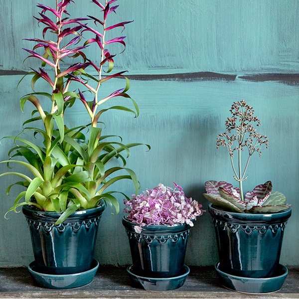 BP ���ڥ�ϡ�����21 �֥롼GL (���å�:4)