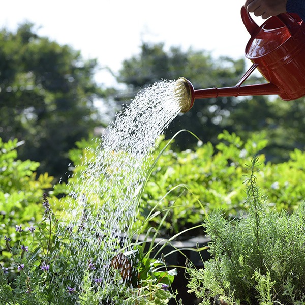 �֥ꥭ����������󥰥���1.5L ��åɡʥ��å�:2��