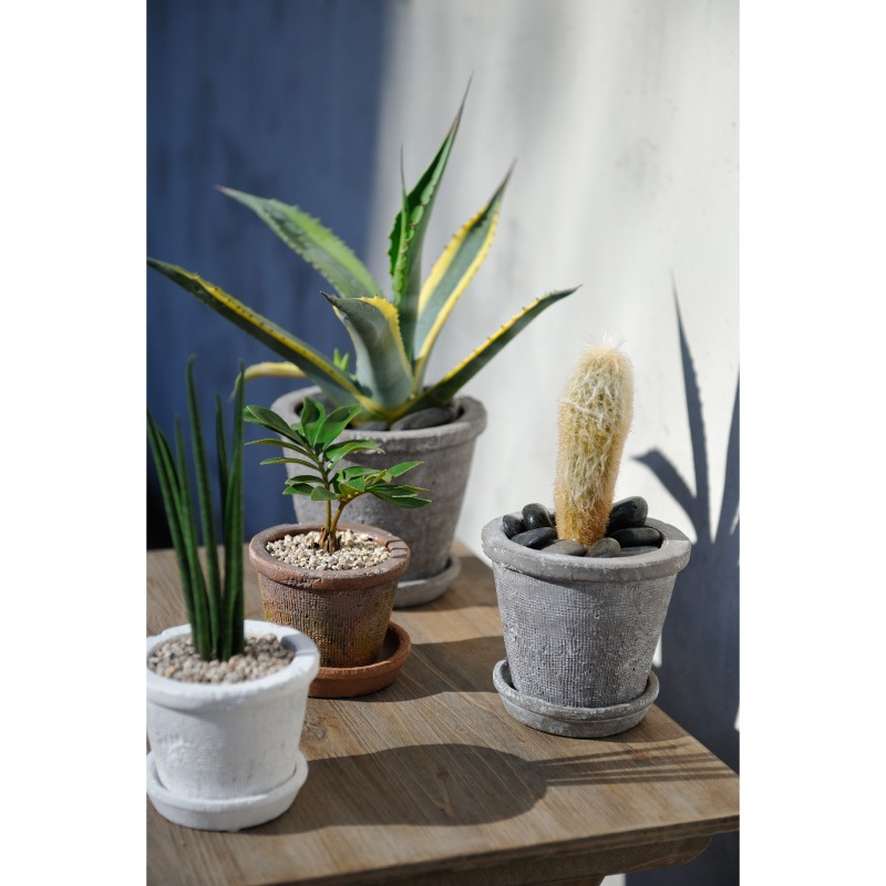 �����٥ݥå�18 �ƥ饳�å��ʥ��å�:6��