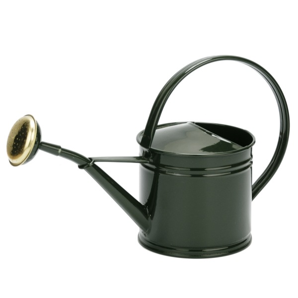 �֥ꥭ����������󥰥���1.5L ���꡼��ʥ��å�:2��