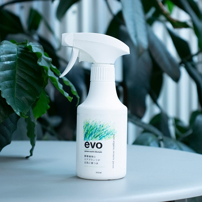 evo տʪȥץĤ˰Ŀ 300mlʥåȡ12