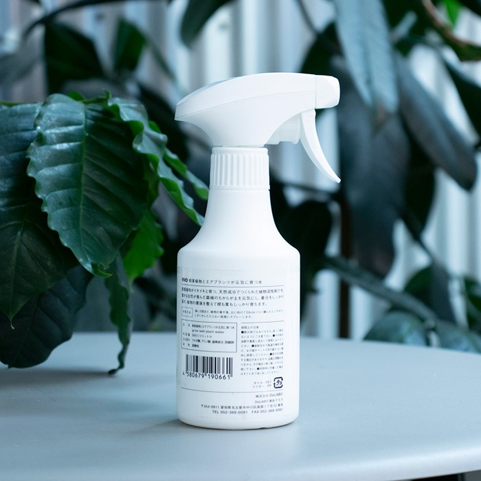 evo տʪȥץĤ˰Ŀ 300mlʥåȡ12