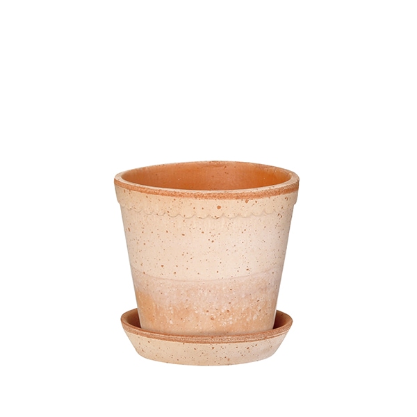 BP�إ��14 �ʥ�����(���å�:6)