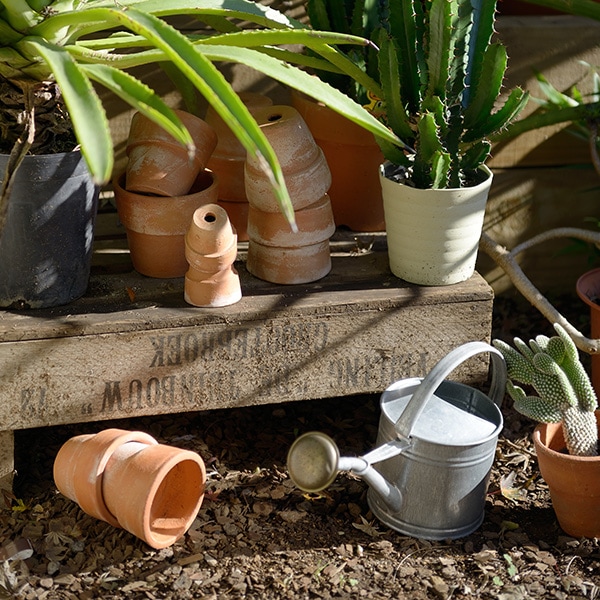 �֥ꥭ����������󥰥���1.5�̡ʥ��å�:2��