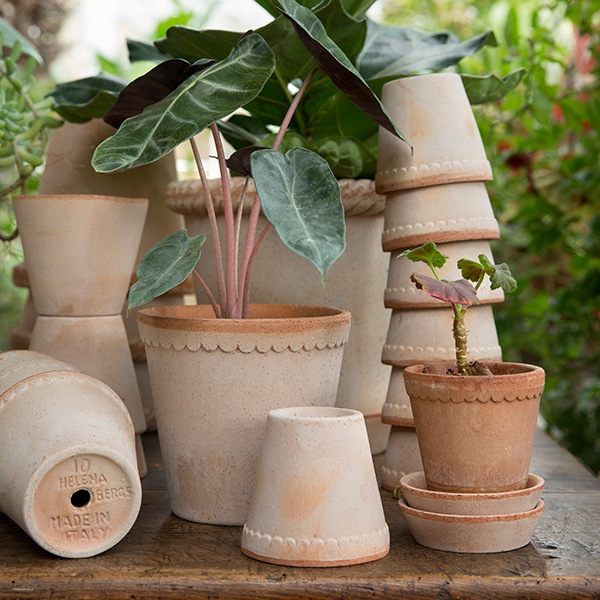 BP�إ��25 �ʥ�����(���å�:2)