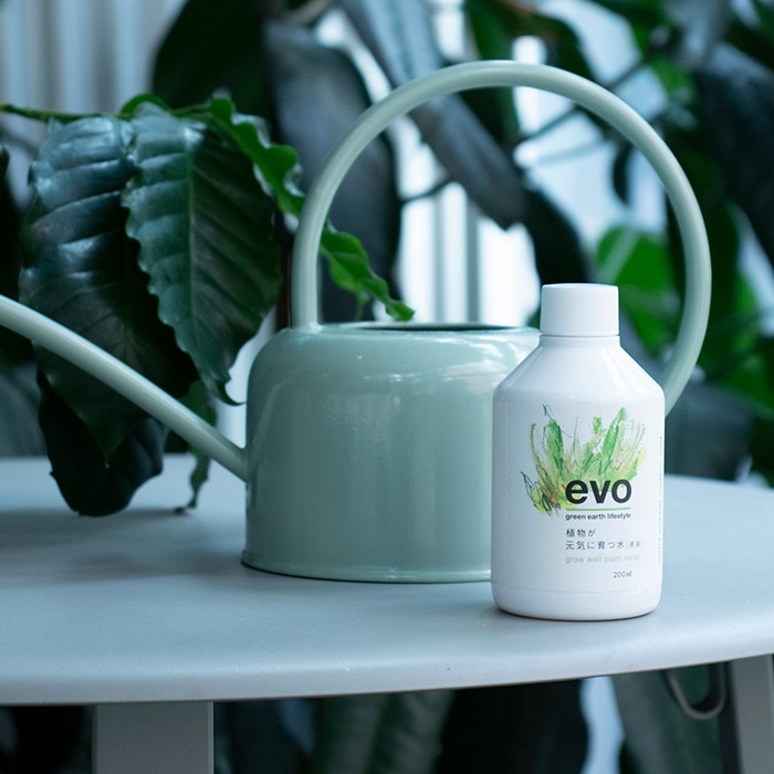 evo ��ʪ�������˰�Ŀ�ʸ��ա�200ml(���å�:12)