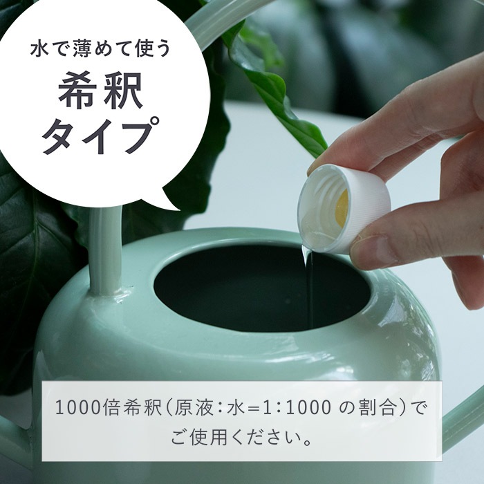 evo ��ʪ�������˰�Ŀ�ʸ��ա�200ml(���å�:12)