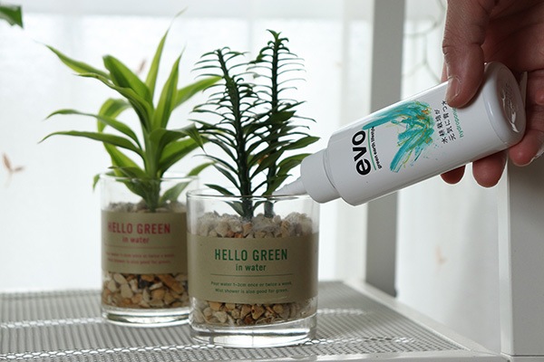 evo ��̺��ݤ������˰�Ŀ� 100ml(���å�:12)