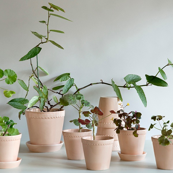 BP �إ��18 �ԥ�GL (���å�:4)