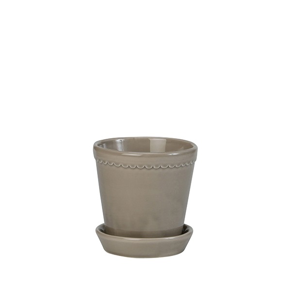 BP�إ��14 ���졼GL(���å�:2)