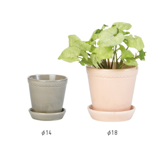 BP�إ��14 ���졼GL(���å�:2)