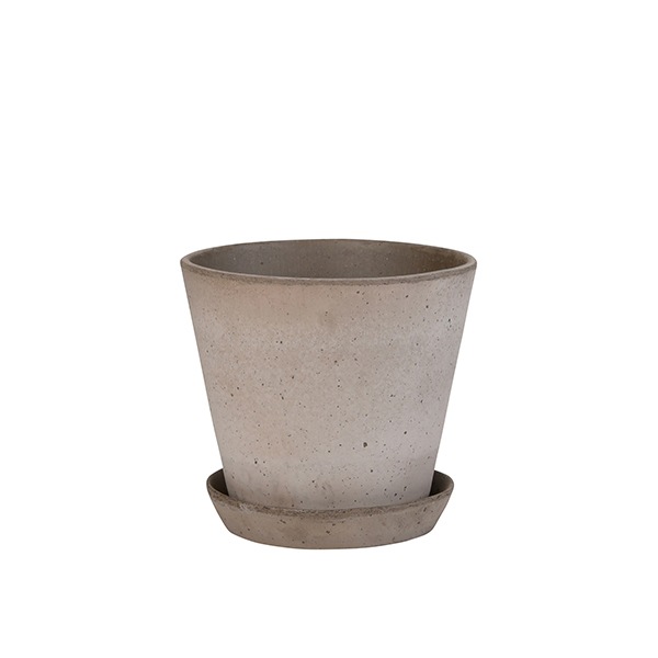 BP ����꡼21 ���졼(���å�:2)