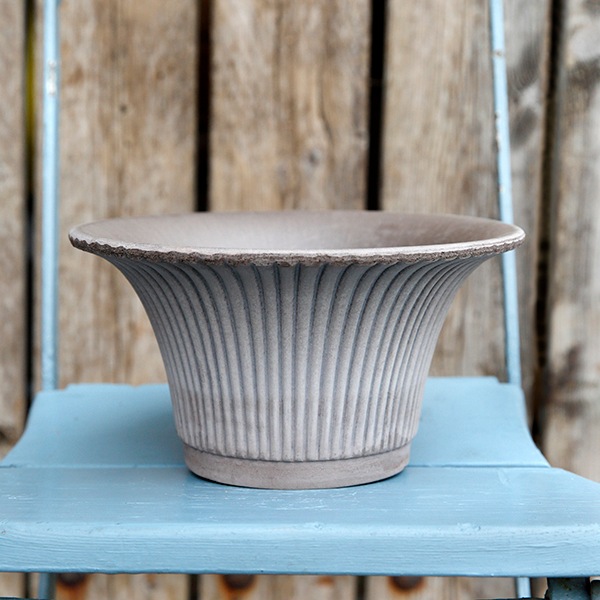 BP �ǥ�����25 ���졼(���å�:3)