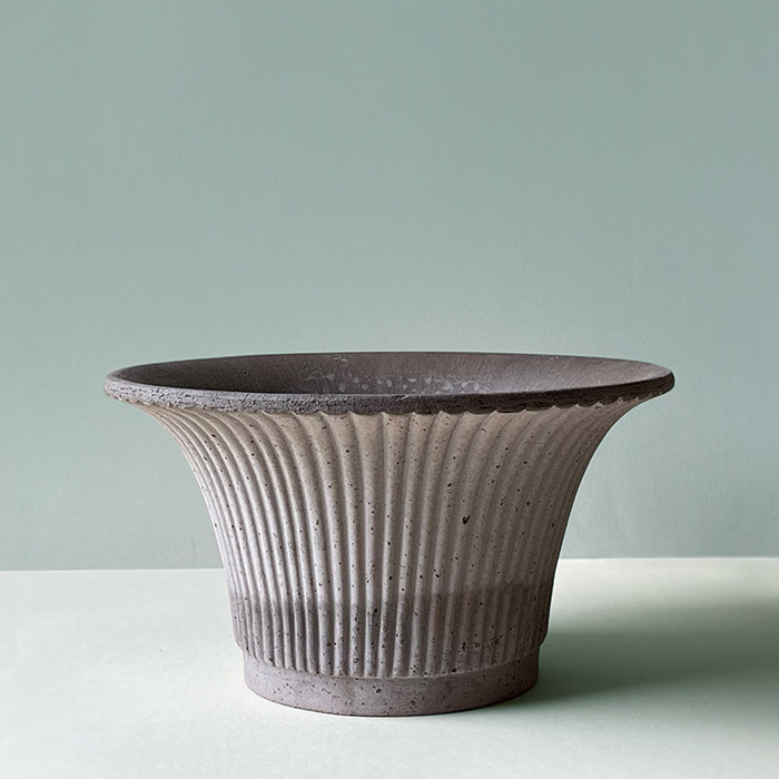 BP �ǥ�����25 ���졼(���å�:3)