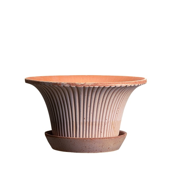 BP �ǥ�����25 �ʥ�����(���å�:3)