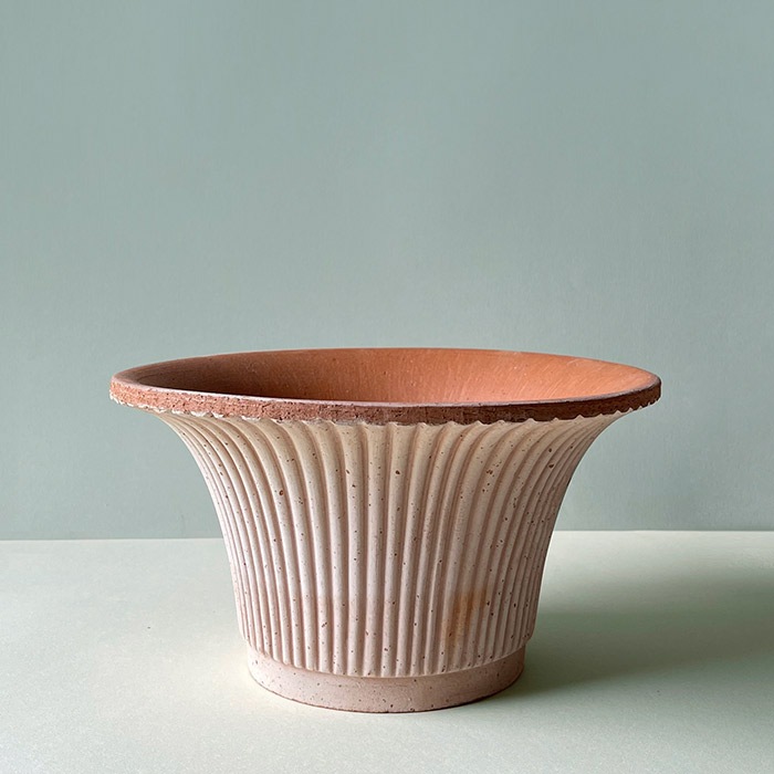 BP �ǥ�����25 �ʥ�����(���å�:3)