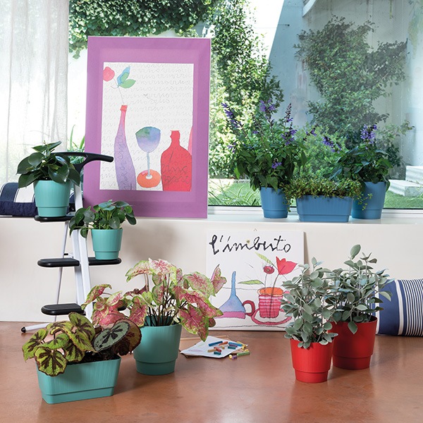 DRプリーツポットMIX 18（ロット：1） | すべての商品 | | Do! earth