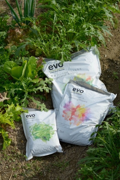 evo�ߤɤ꤬���䤫�ˤʤ���2�̡��ʥ��å�:12��