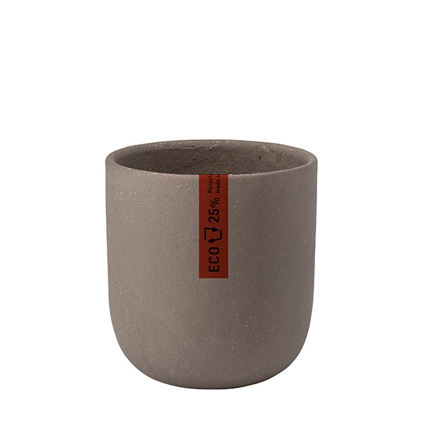 ꥵUݥåS 㥳ʥåȡ6