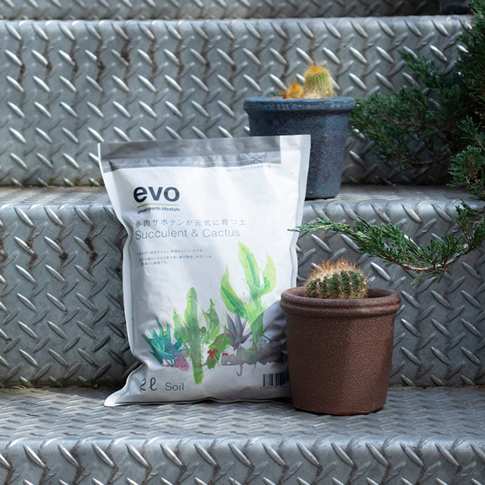 evo¿�����ܥƥ󤬸����˰����2L�ʥ��å�:12��