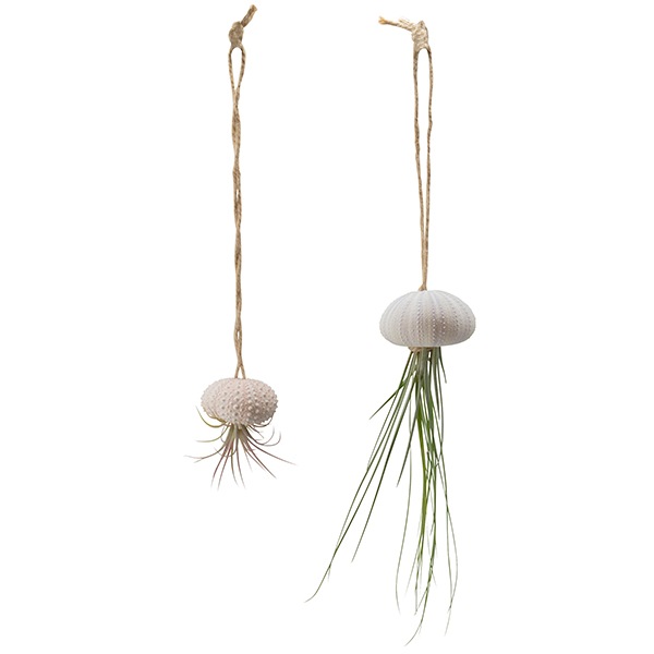 ���饲�ץ��ĥ������ȡʥ��åȡ�12��