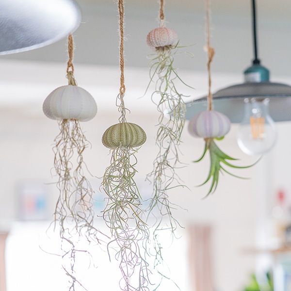 ���饲�ץ��ĥ������ȡʥ��åȡ�12��