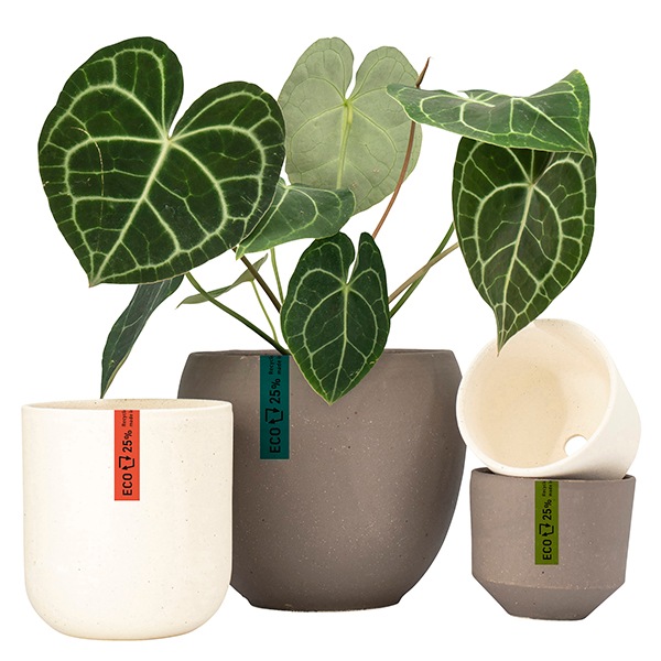 ꥵ饦ɥݥåM 㥳ʥåȡ4