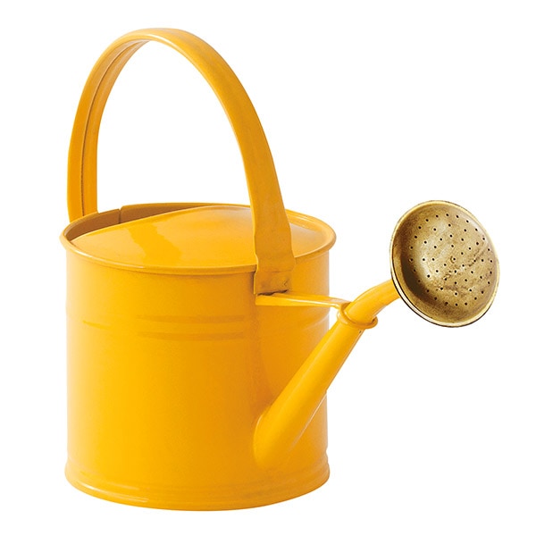 �֥ꥭ����������󥰥���1.5L �������� �ʥ��å�:2��