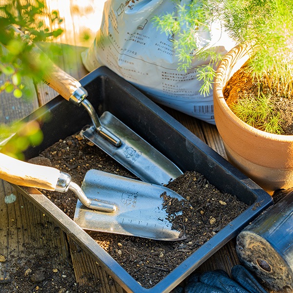 KINZO �ܿ����ƥ����ʥ��åȡ�2��