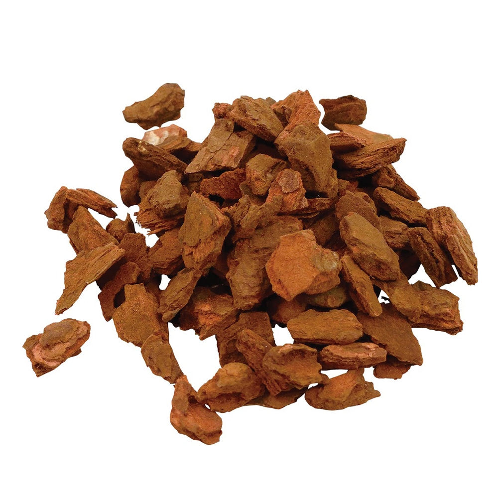 evoȭ�����򥭥쥤�˸�����С������å�2L�ʥ��å�:12��