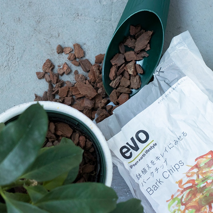 evoȭ�����򥭥쥤�˸�����С������å�2L�ʥ��å�:12��