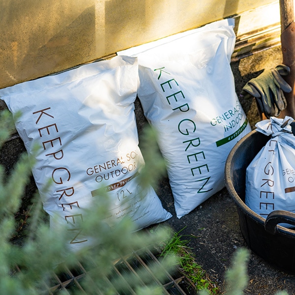 KG �����ͥ�륽����ʥ����ȥɥ���5L�ʥ��åȡ�8��