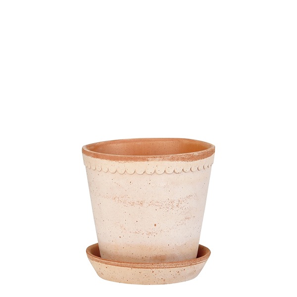 ������ͽ���BP �إ��10 �ʥ�����(���åȡ�6)