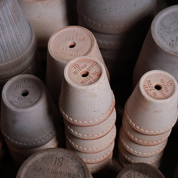 ������ͽ���BP �إ��10 �ʥ�����(���åȡ�6)