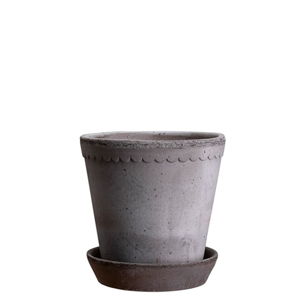 ������ͽ���BP �إ��12 ���졼(���åȡ�6)