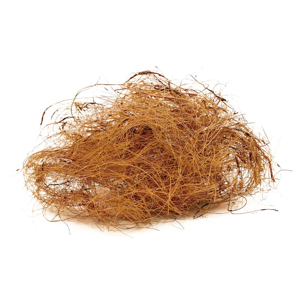 evoȭ�����򥭥쥤�˸����륳���䥷�ե����С� �֥饦��ʥ��å�:12��