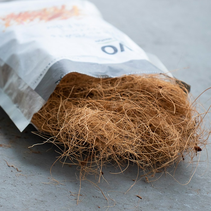 evoȭ�����򥭥쥤�˸����륳���䥷�ե����С� �֥饦��ʥ��å�:12��