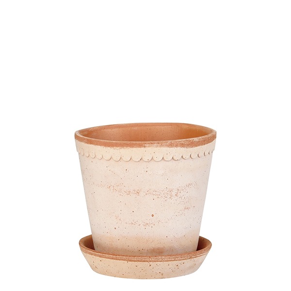 ������ͽ���BP �إ��12 �ʥ�����(���åȡ�6)