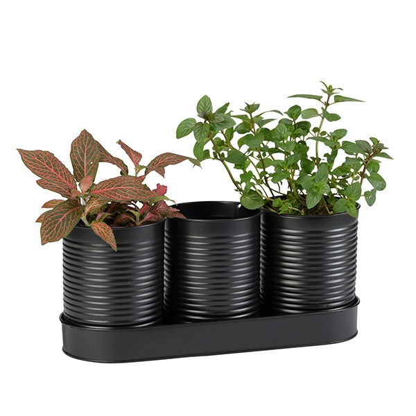 ֥ꥭ9.5 3P ֥åʥåȡ6