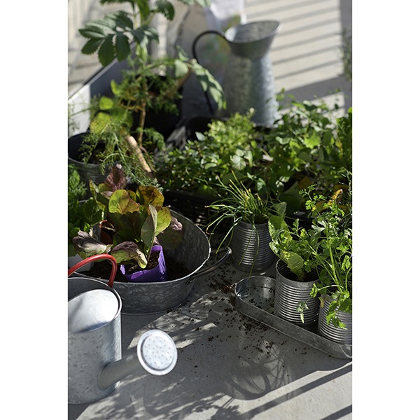 ֥ꥭ9.5 3P ֥åʥåȡ6